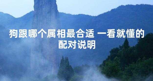 狗跟哪个属相最合适 一看就懂的配对说明